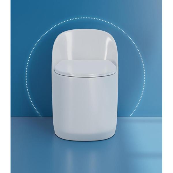 Slowly Closing Seat Cover One-Piece Elongated Non-Electric Toilet for American Market
