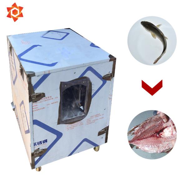 380v / 220v Voltage Fish Washing Machine 2.2 - 3.0kw Power 2 Year Warranty