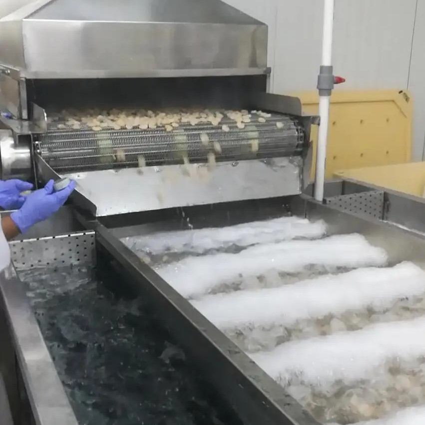 1000kg-1500kg Shrimp Processing Machine Multiscene Fish Freezing Machine