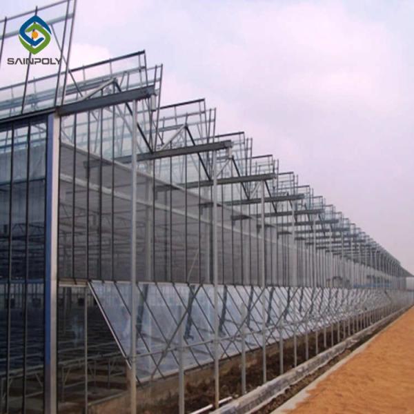 Stable Hot Galvanized Steel Venlo Glass Greenhouse 3.0mm Thickness