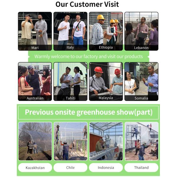 BAOLIDA Single-Span Greenhouse 6-10m Width 150/200micro PE Film Cover