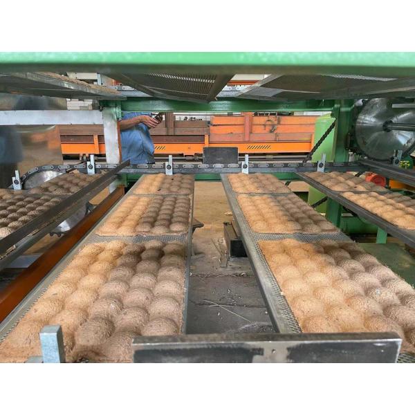 поднос яйца бумаги 350pcs/H делая машину полно автоматический