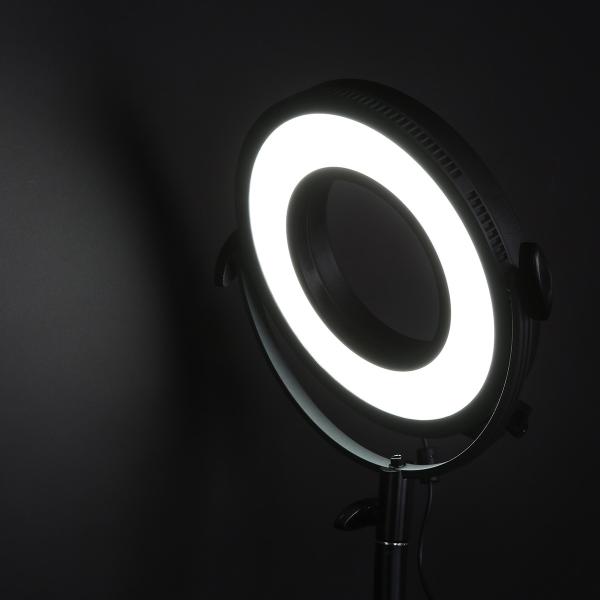 Portable LED Photography Lights LED Video Ring Light  High CRI Still Life