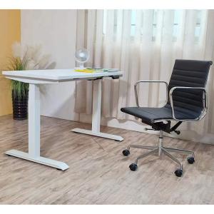 Adjustable Standing Desk