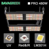 1248Umol/S internos 4x4 SAMSUNG LM301H crescem V4 claro para vegetais