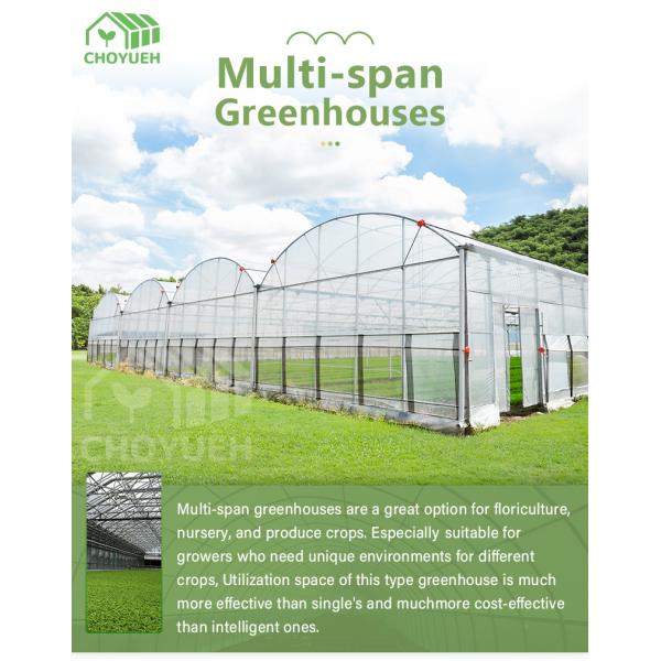 Multi Span Film Hydroponic Garden Greenhouse 10X30m Customizable