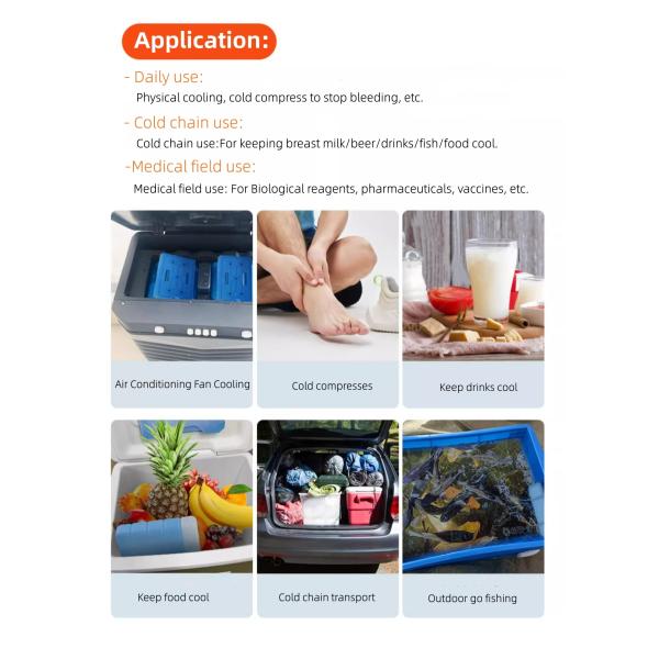 Reusable PCM Ice Packs phase change material temperature control ideal for cold chain logistics medical shipments and food transport