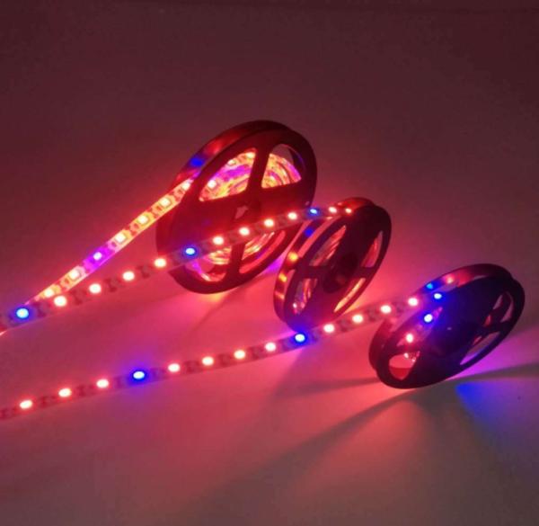 5050 SMD Waterproof Indoor Plant Grow Lights