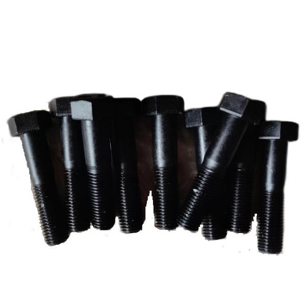 40Cr Material 12.9 Grade Excavator and Bulldozer Track Shoe Bolt Nut with High Hardness