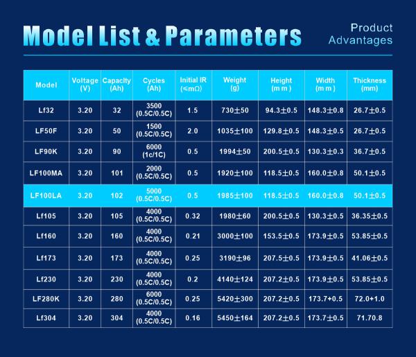Customized Capacity LifePo4 Lithium Ion Battery with 2000 Standard Rating Cycle