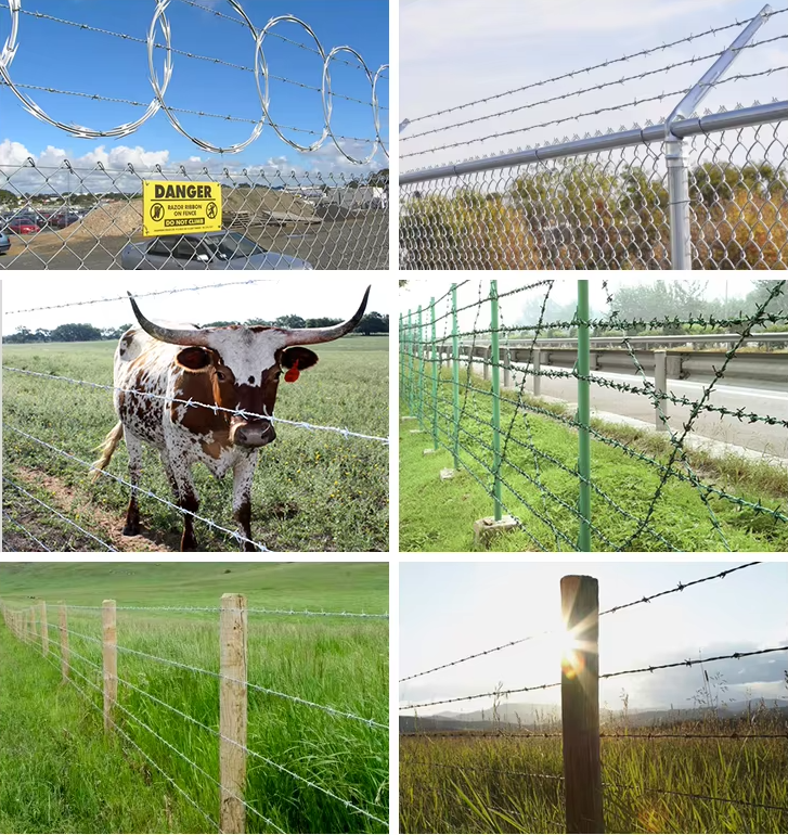 Extra Sharp Points Heavy Gauge Hot Dip Galvanized Razor Barbed Wire for Industrial Security