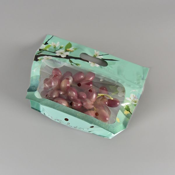 Custom Design Food Grade Plastic Anti-fog Pouch Transparent Fresh Vegetable Fruit Storage Packaging Bag with Zipper Handle