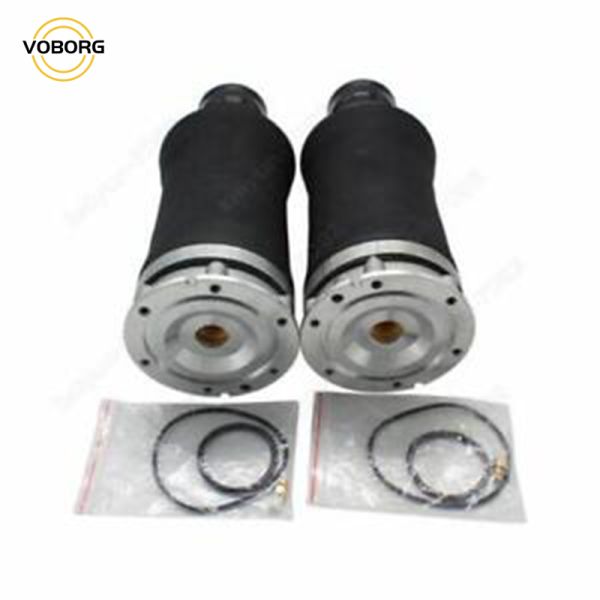 Hot Sell Rear Air Suspension Shock Absorber Reart Left and Right Shock Absorbers for Audi Auto Parts