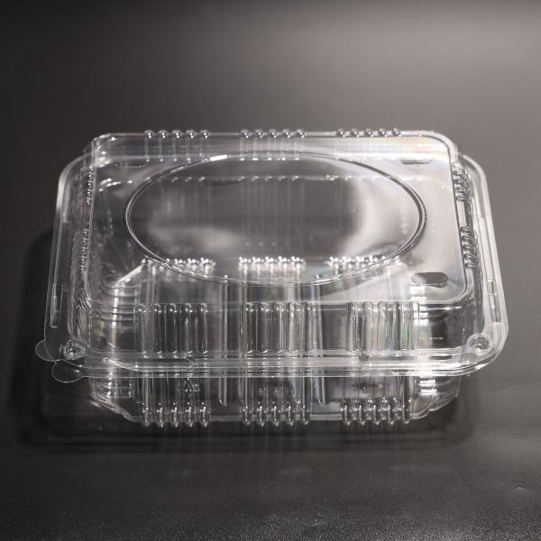 Customized Color PET Plastic Food Box Plastic Freezer Containers With Lid