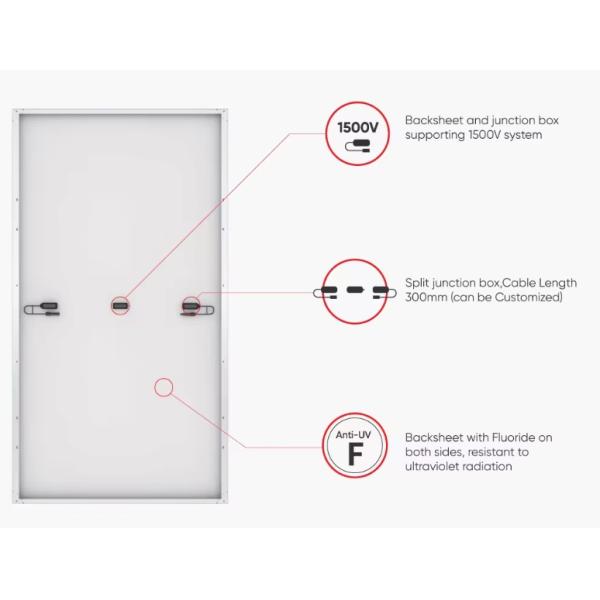 Longi Hi-Mo 6 Explorer LR5-72HTD Dual Glass Solar Power Modules 4.0mm2 Cable 560-585W