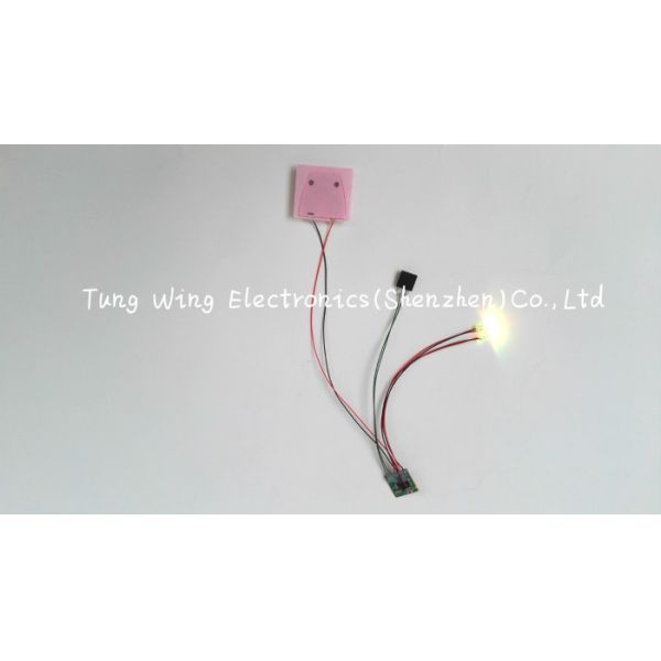 Beautiful Lights Flashing Button Sound Book 2 Colorful LED And 1 Button Flashing Module