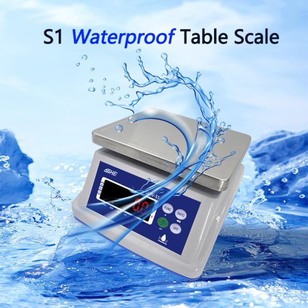 8V/1A Power Supply Waterproof Scale with Dual Screen Display and Precision Sensor