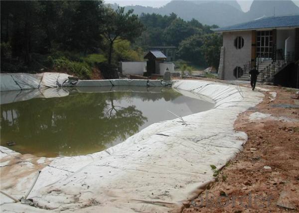 High Tensile Strength Anti Acids 800g Non Woven Geotextile Fabric
