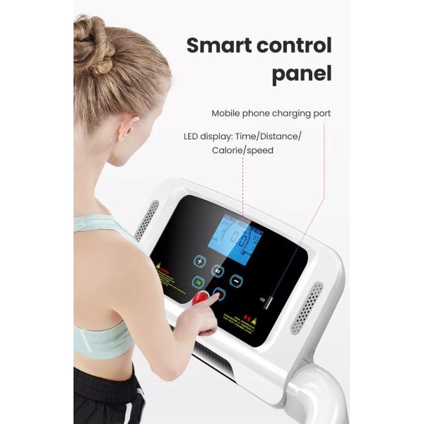 BSCI que dobla la rueda de ardilla casera de los deportes de la aptitud de la pantalla del LED