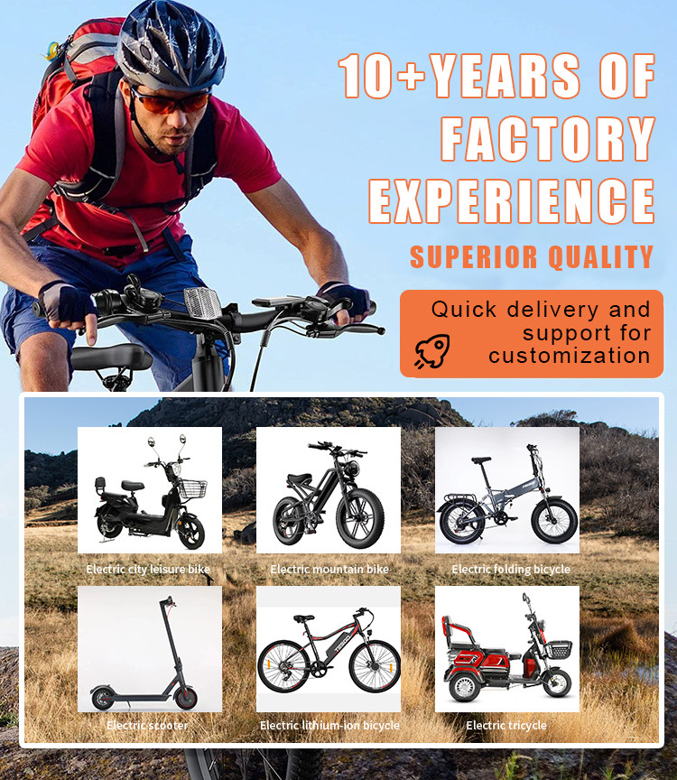 250w 36v 14 Inch 16 Inch Electric City Bike Foldable Electric Bike with Aluminum Alloy Frame