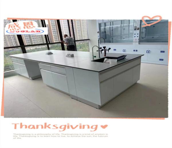 Smooth Functionality Chemistry Lab Bench laboratory Workbenches- Polished Surface Multifunctional Design