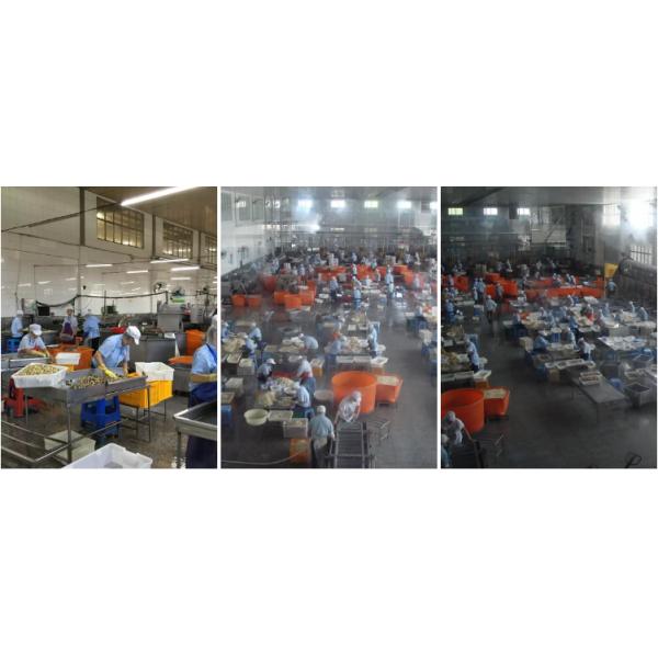 Немедленным персик законсервированный плодом желтый в светлом сиропе 425g 820g