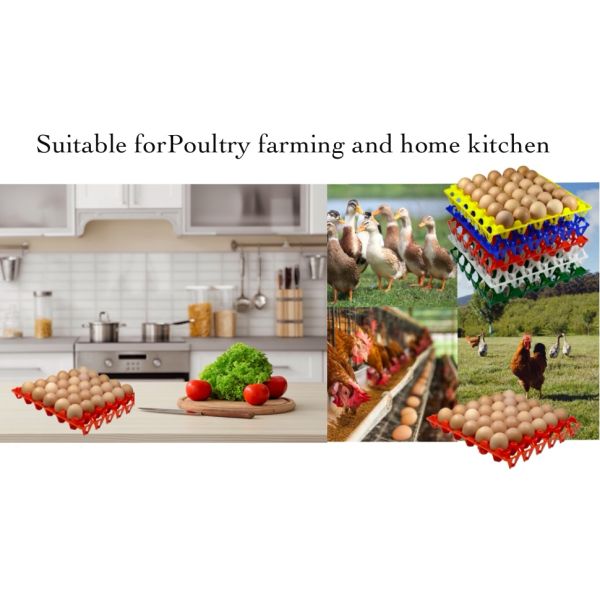 Reusable Plastic Egg Tray Egg Crates 30-Egg Flats For Home Chicken Farmers, Stackable Egg Cartons Hold Multiple Eggs, Great For Storing, Sorting, And Shipping Eggs, Durable And Reusable