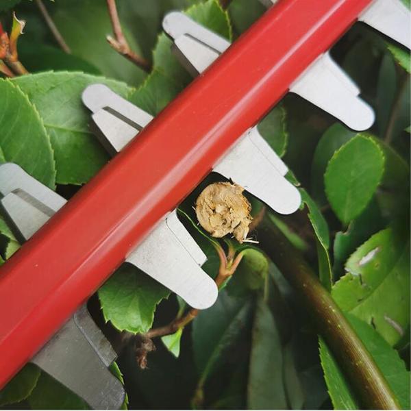 950w Lawn Tree Garden Electric Hedge Trimmer Dual Blade Long Reach Electric Hedge Cutter