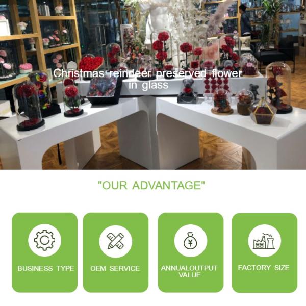 Christmas Reindeer Eternal Rose Flower In Glass Perfect For Gift