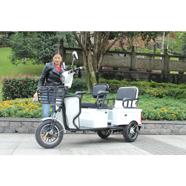 20Ah scooter électrique de roue de la batterie au plomb 800W trois
