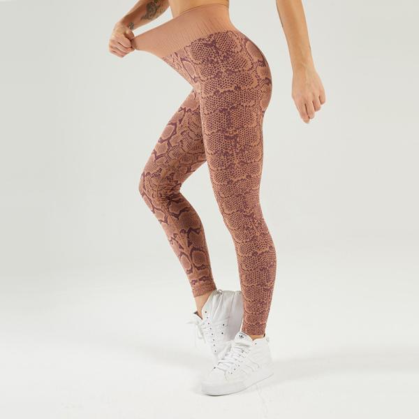 Equipamento alto da ioga da cópia da serpente da cintura para o desgaste sem emenda do Gym do exercício de 2 partes das mulheres
