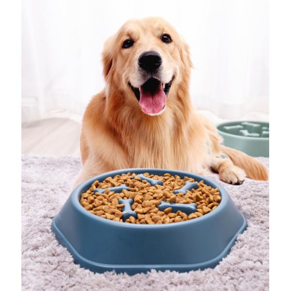 Comida para mascotas Comida para perros de plástico para perros y gatos