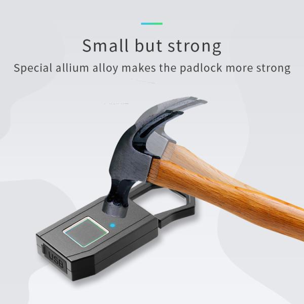 Keyless биометрический Padlock отпечатка пальцев для чемодана двери дома