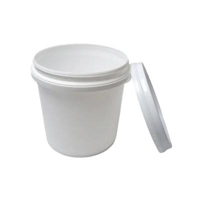 Customizable Multipurpose Plastic Bucket For Indoor And Outdoor 5 Gallon Pails With Lids