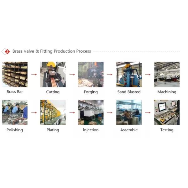 Brass / Iron / Stainless Steel Male X Female Bushing Forged Pipe Fittings 245 Metric Threaded Reducing Bushing