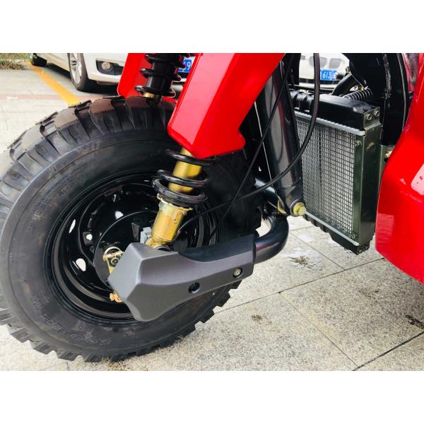 800W DAYANG DY-R1 RUITENG 250cc Tricycle cargo pour lourds CCC Trois roues moto