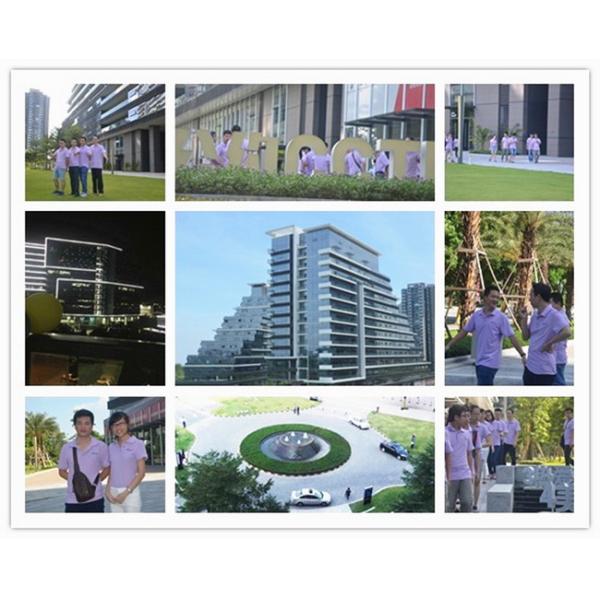 Guangdong Hoyamo Precision Instrument Limited