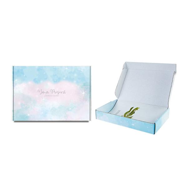 Boîte d'avion cadeau en carton pliable personnalisé pour emballage de t-shirts