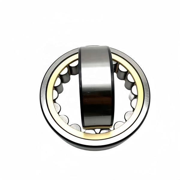 Chrome Steel Gcr15 Cylindrical Roller Bearing NU/NJ/NF212EM 60*110*22mm for Retail