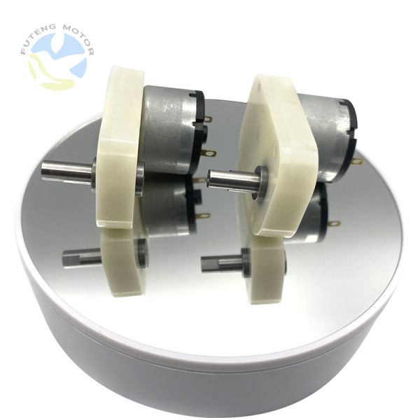 Custom Electric DC Gear Motor 12V 24V High Torque Low Rpm Motor With Worm Gearbox