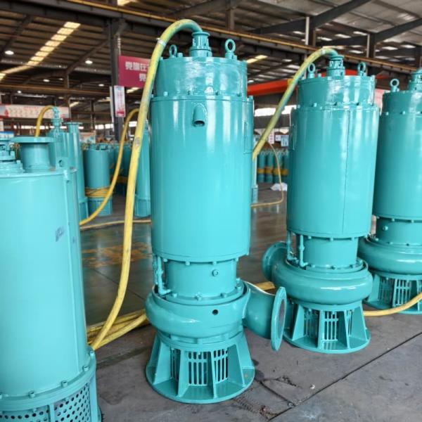 WQ 37kW 50hp Submersible Pump For Municipal Wastewater In Urban Areas Non Clog Sewage Submersible Pump