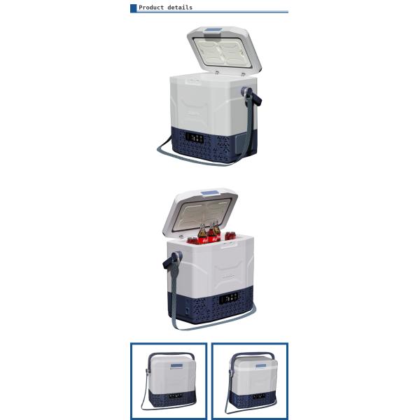 Réfrigérateur de voiture 12L vert/bleu/brun Réfrigérateur portable AC/DC pour voitures OEM françaises