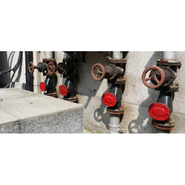 Brass Metal Seat Swing Check Valve With Double Flange Connect End