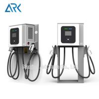 Estações de carregamento do carro elétrico da C.C. de CCS CHAdeMO OCPP