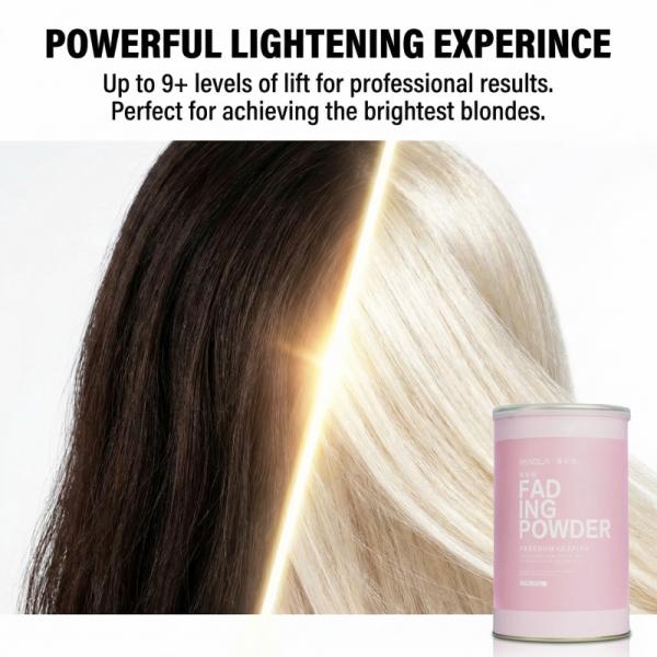 OEM Hair Color Manufacturer  Blue Bleaching Powder Ammonia Free Lightener Wholesale  Gentle Hair Color Removers