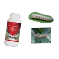 Keep Your Corn Healthy with Maize Crop Pesticides Liquid Formulation and 2 Years Shelf Life