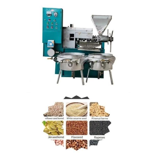 Small Sunflower Oil Press Machine and Mini Mustard Oil Press Machine with US Currency