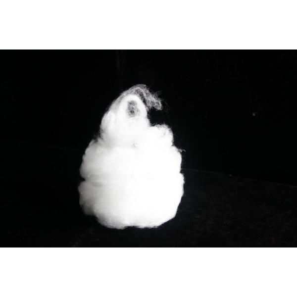 Nylon (polyamide) 6 Staple Fiber