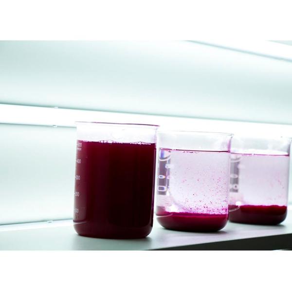 CAS 55295-98-2 Agent décolorant de l'eau Excellente efficacité