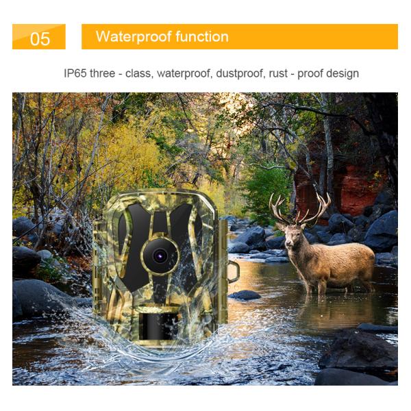 1080p 20mp Mini Wildlife Camera , IP65 Outdoor Trail Camera